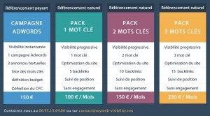 tarifs-referencement-naturel-google