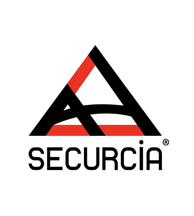 Capture d’écran 2025-01-28 à 10.53.57